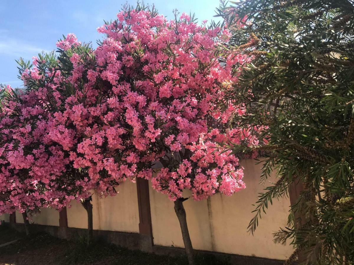 Vila Laguna سوتوموري المظهر الخارجي الصورة